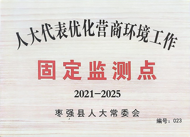 人大代表固定检测点